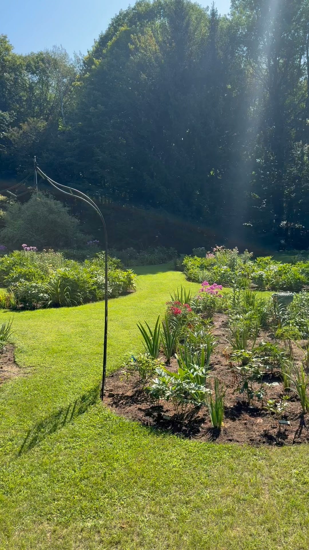 Fin d'été.  #Monjardin

Nouveau post sur le blog (lien en commentaire)