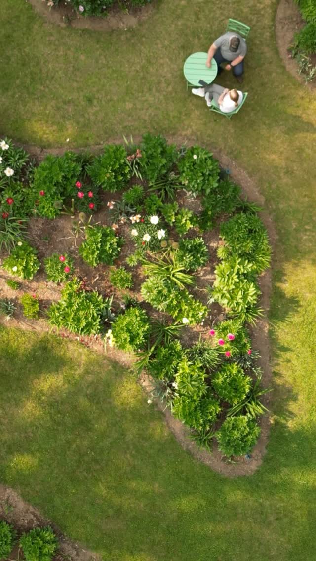 Beautiful view of my peony garden last June. 🌸
.
Now I’m tucking it in for its winter sleep — with hopes for even more beauty next spring. 🌿
.
From original drone images provided by  @carlosrmartinez24 
.
.
#gardenviews #cottagegardenflowers #peonyseason #springflowers #peonies #peonylove #cottagegarden #canadiangardening #englishgarden #gardening #gardenblogger #paeonia #houseandgarden #mycountrygarden #finegardening #landscaping #perennials #flowergarden